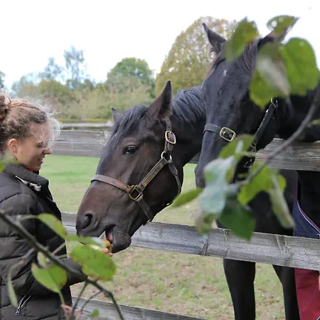 La Longere Galope Sainte-Gauburge-Sainte-Colombe